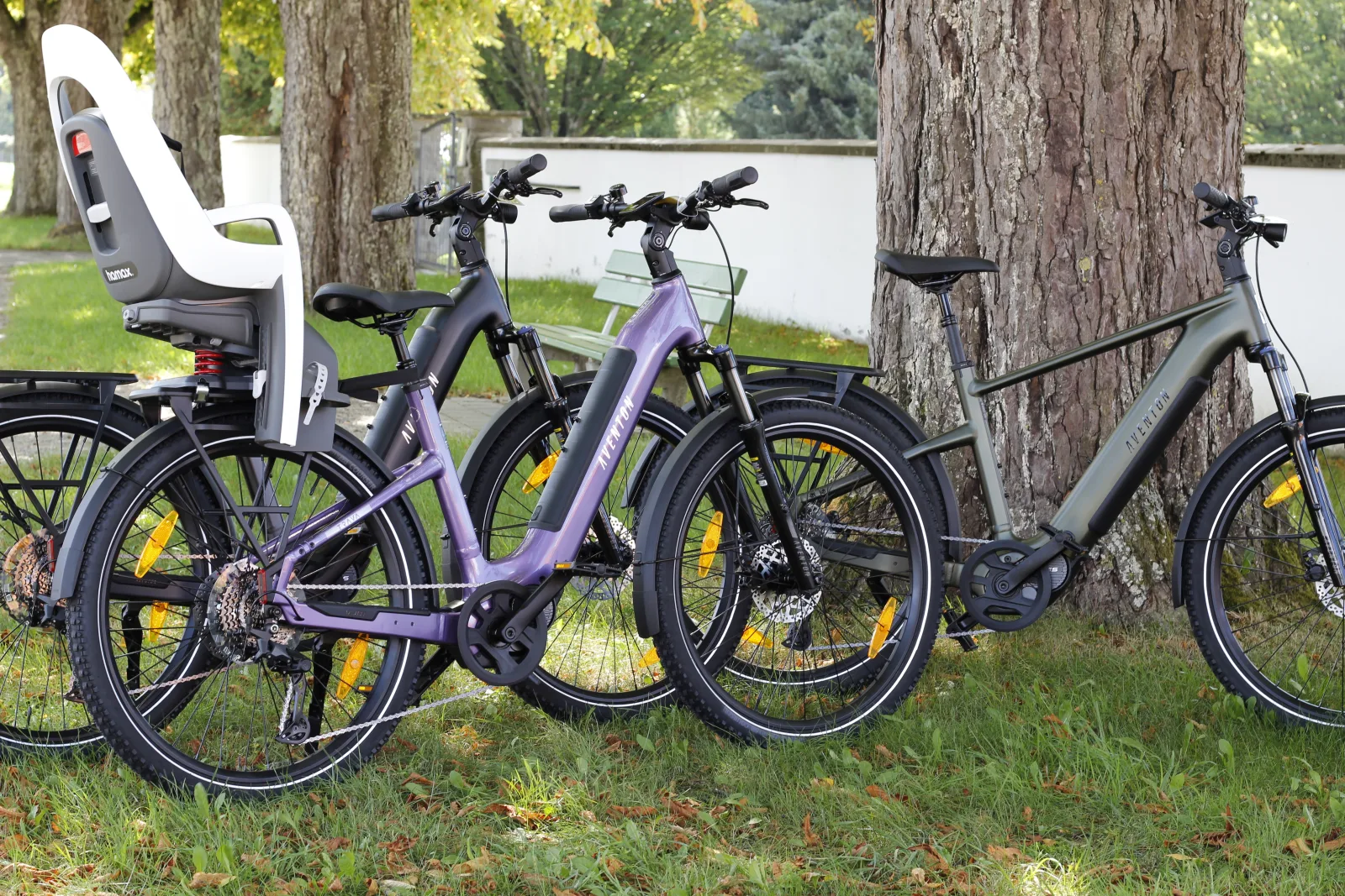 AVENTON - TREKKING