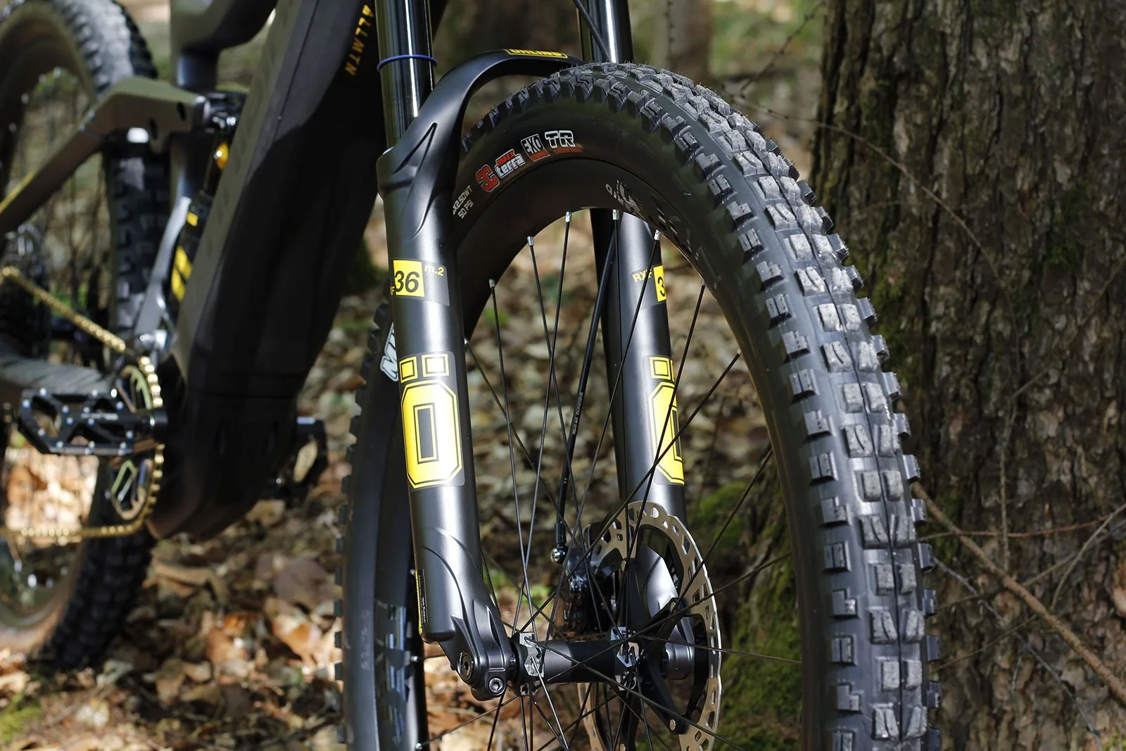 HAIBIKE - 10 YRS EDITION